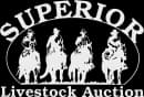 Superior Livestock Auction Logo